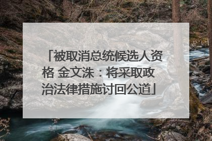 被取消总统候选人资格 金文洙：将采取政治法律措施讨回公道