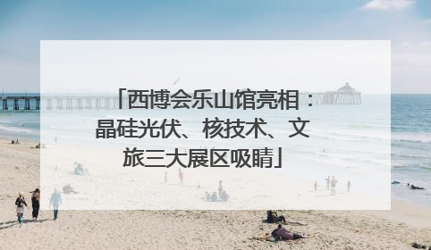 西博会乐山馆亮相：晶硅光伏、核技术、文旅三大展区吸睛