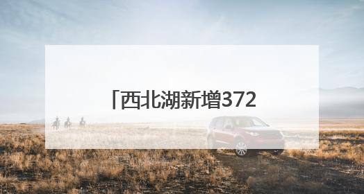 西北湖新增372个地下智能停车位，地上变小游园