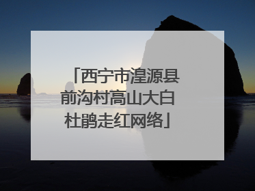 西宁市湟源县前沟村高山大白杜鹃走红网络