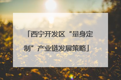 西宁开发区“量身定制”产业链发展策略