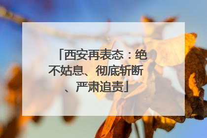 西安再表态：绝不姑息、彻底斩断、严肃追责