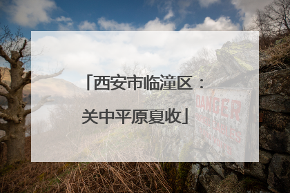 西安市临潼区：关中平原夏收