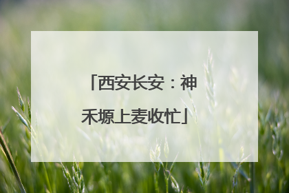 西安长安：神禾塬上麦收忙