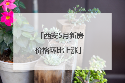 西安5月新房价格环比上涨