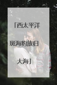 西太平洋斑海豹放归大海