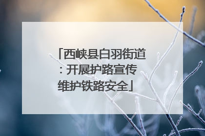 西峡县白羽街道：开展护路宣传 维护铁路安全