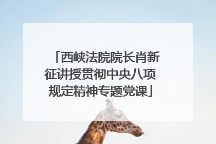 西峡法院院长肖新征讲授贯彻中央八项规定精神专题党课