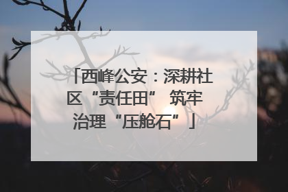 西峰公安：深耕社区“责任田” 筑牢治理“压舱石”