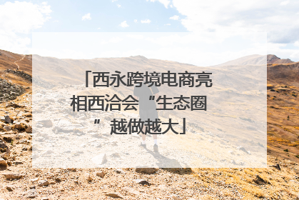 西永跨境电商亮相西洽会“生态圈”越做越大