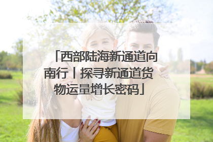 西部陆海新通道向南行丨探寻新通道货物运量增长密码