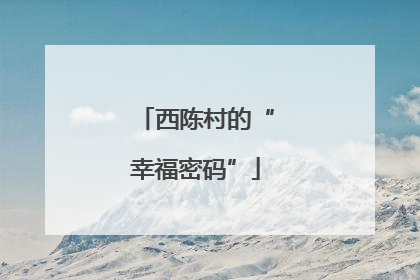 西陈村的“幸福密码”