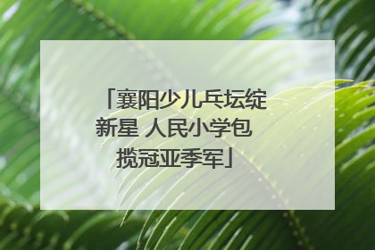 襄阳少儿乓坛绽新星 人民小学包揽冠亚季军