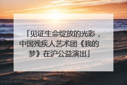 见证生命绽放的光彩，中国残疾人艺术团《我的梦》在沪公益演出