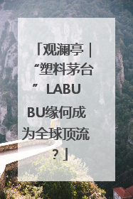 观澜亭｜“塑料茅台”LABUBU缘何成为全球顶流？