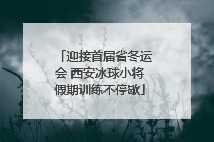 迎接首届省冬运会 西安冰球小将假期训练不停歇