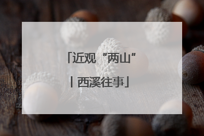 近观“两山”丨西溪往事
