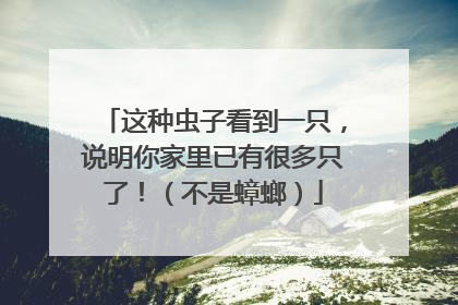 这种虫子看到一只，说明你家里已有很多只了！（不是蟑螂）