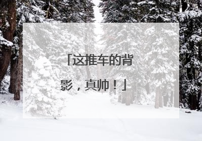 这推车的背影，真帅！