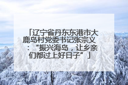辽宁省丹东东港市大鹿岛村党委书记张宗义：“振兴海岛，让乡亲们都过上好日子”