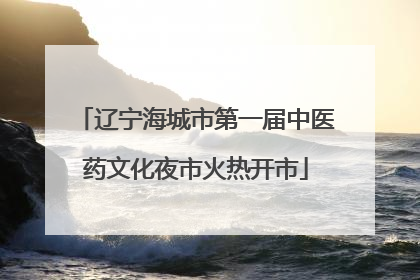 辽宁海城市第一届中医药文化夜市火热开市