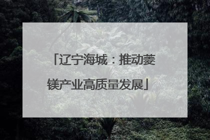 辽宁海城：推动菱镁产业高质量发展