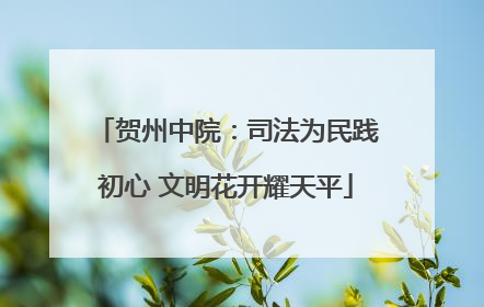 贺州中院：司法为民践初心 文明花开耀天平
