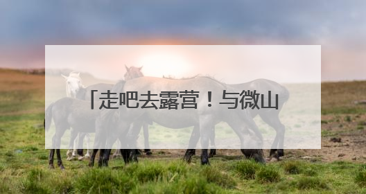 走吧去露营！与微山湖共度初夏的周末