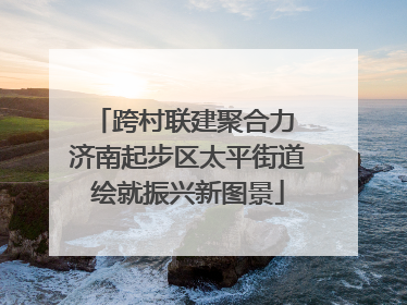 跨村联建聚合力 济南起步区太平街道绘就振兴新图景