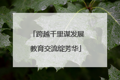 跨越千里谋发展 教育交流绽芳华