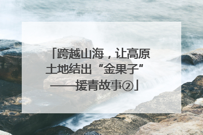 跨越山海，让高原土地结出“金果子”——援青故事②
