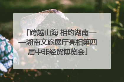 跨越山海 相约湖南——湖南文旅展厅亮相第四届中非经贸博览会