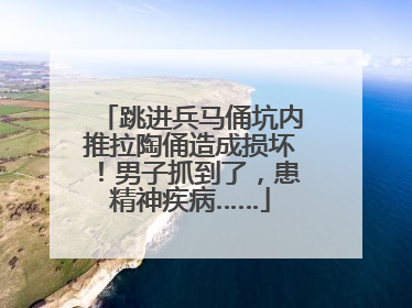 跳进兵马俑坑内推拉陶俑造成损坏！男子抓到了，患精神疾病……