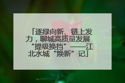 逐绿向新、链上发力，聊城高质量发展“提级换挡”——江北水城“焕新”记