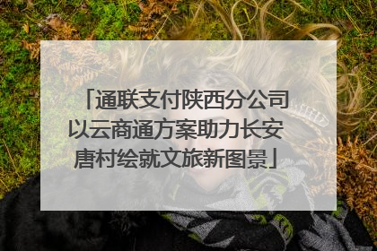 通联支付陕西分公司以云商通方案助力长安唐村绘就文旅新图景