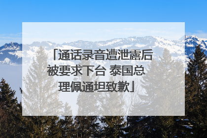 通话录音遭泄露后被要求下台 泰国总理佩通坦致歉