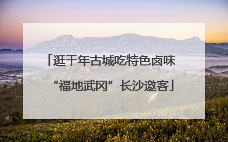 逛千年古城吃特色卤味 “福地武冈”长沙邀客