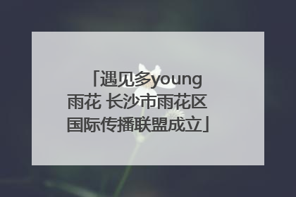 遇见多young雨花 长沙市雨花区国际传播联盟成立