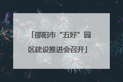 邵阳市“五好”园区建设推进会召开