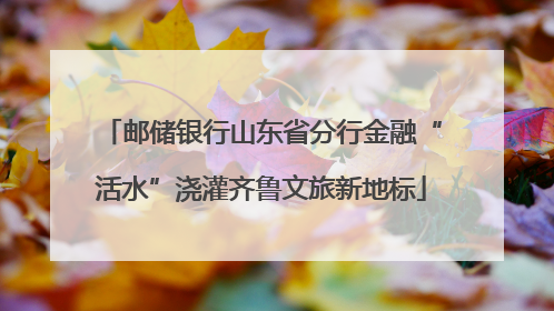 邮储银行山东省分行金融“活水”浇灌齐鲁文旅新地标