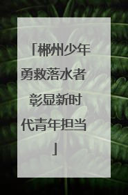 郴州少年勇救落水者 彰显新时代青年担当