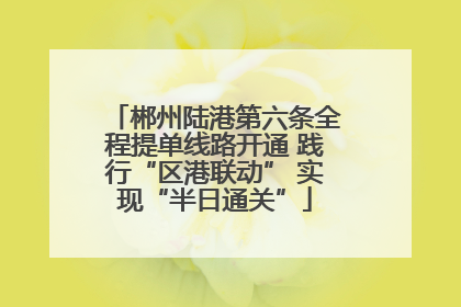 郴州陆港第六条全程提单线路开通 践行“区港联动” 实现“半日通关”