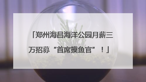 郑州海昌海洋公园月薪三万招募“首席摸鱼官”！