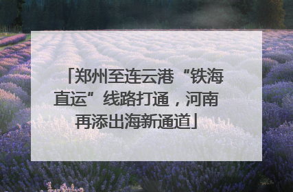 郑州至连云港“铁海直运”线路打通，河南再添出海新通道