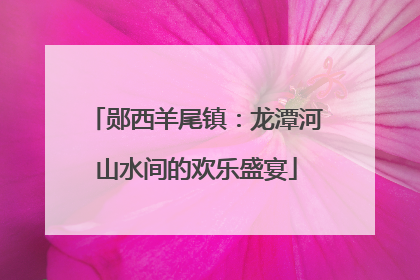 郧西羊尾镇：龙潭河山水间的欢乐盛宴