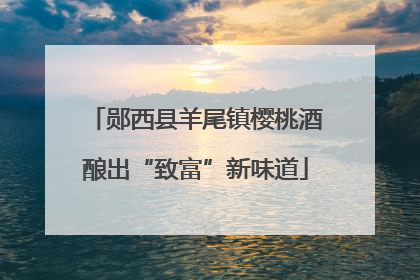 郧西县羊尾镇樱桃酒酿出“致富”新味道