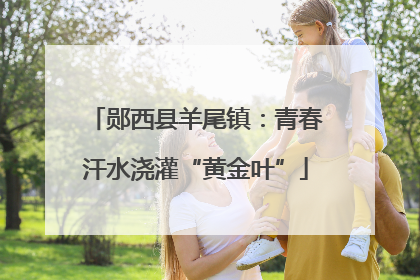 郧西县羊尾镇：青春汗水浇灌“黄金叶”