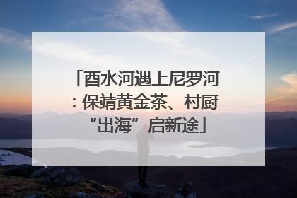酉水河遇上尼罗河：保靖黄金茶、村厨“出海”启新途