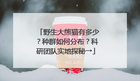 野生大熊猫有多少？种群如何分布？科研团队实地探秘→