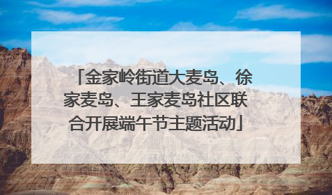 金家岭街道大麦岛、徐家麦岛、王家麦岛社区联合开展端午节主题活动